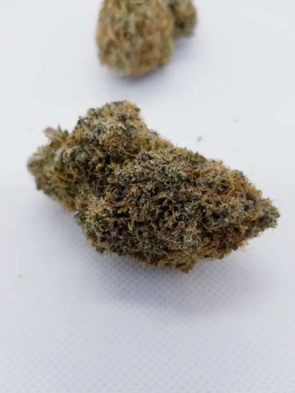 Girl Scout Cookies Cannabis