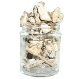 Amazonian Magic Mushrooms