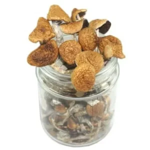 Flying Saucer Magic Mushrooms