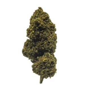 Bubble Gum – 2g