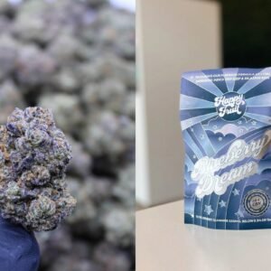 Sativa vs Indica Edibles